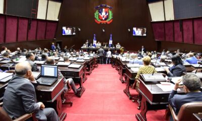 Comisión de la Cámara de Diputados que estudia el Código Penal invita a Visitas Públicas