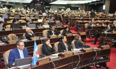 Diputados eligen candidatos a la Cámara de Cuentas y dejan fuera miembros actuales