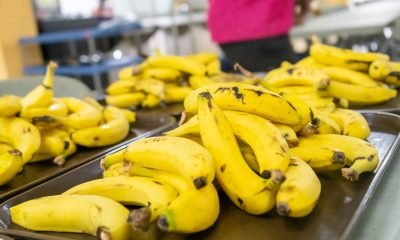 INABIE advierte sanción a suplidores que no cumplan con menú de frutas en escuelas