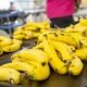 INABIE advierte sanción a suplidores que no cumplan con menú de frutas en escuelas