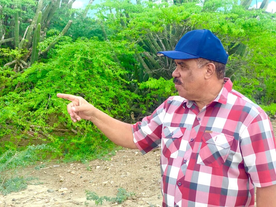 PLD resta credibilidad informe sobre daños tormenta Melissa