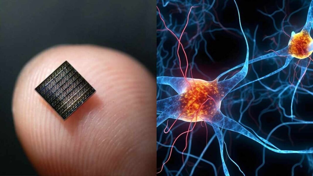 Científicos crean neurona artificial que imita las células del cerebro con materiales electrónicos