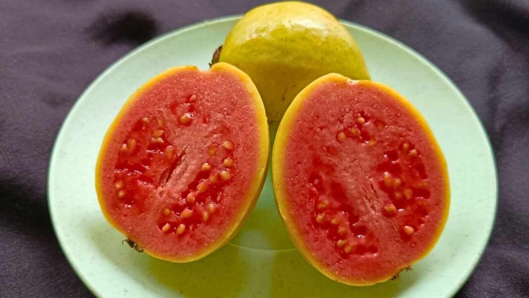 Científicos descubren en la guayaba una molécula con potencial para combatir el cáncer de hígado