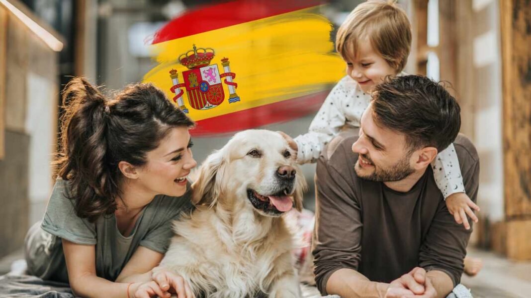 España reconoce legalmente a las mascotas como parte de la familia