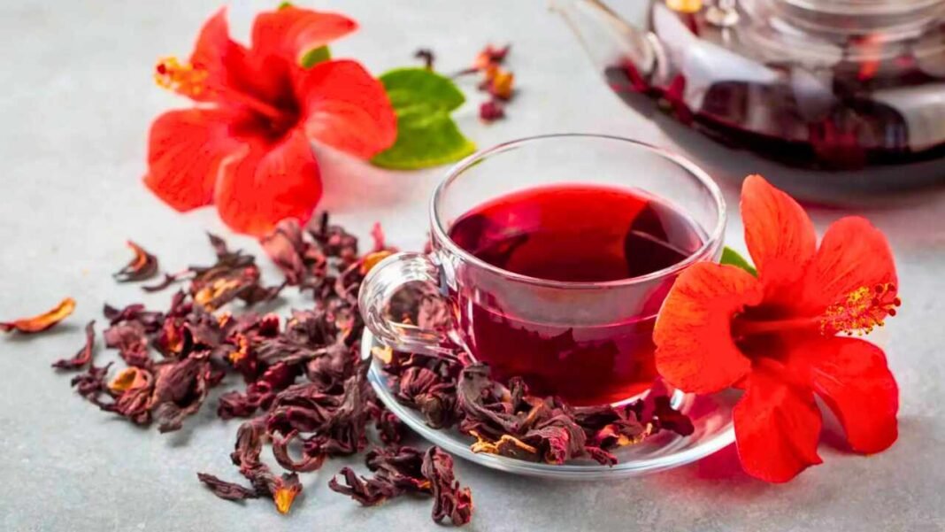 Estudio mostró que la flor de jamaica es una de las bebidas naturales con mayor actividad antioxidante