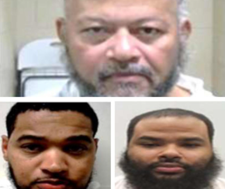 EU: Tres dominicanos entre 15 criminales arrestados por ICE