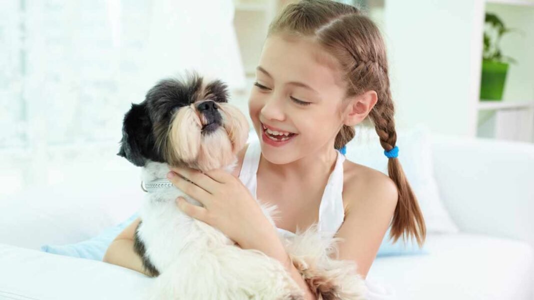 Gobierno colombiano estaría planeando incluir una clase obligatoria en los colegios de protección animal