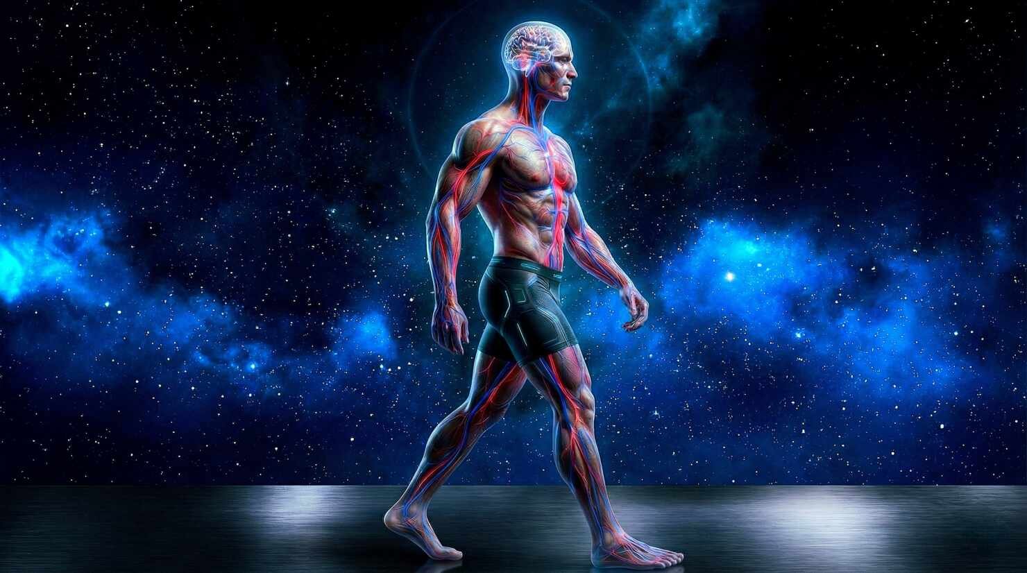 Caminar puede hacer crecer el cerebro según estudio