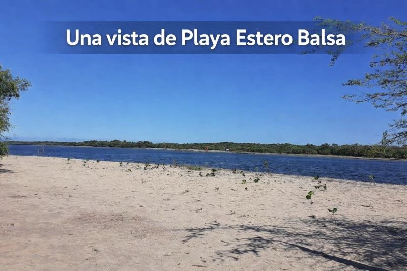 CEBAMDER logra que BID Invest declare elegible reclamo comunitario por impactos de proyecto energético en Manzanillo y escuche a sectores afectados