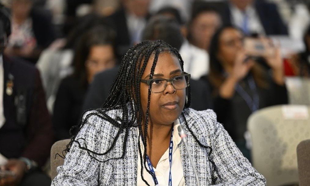 Entidad ve hay manipulación en RD sobre presencia de haitianos