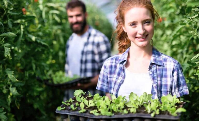 Esta iniciativa te permite ser voluntario y vivir en granjas orgánicas mientras recorres el mundo