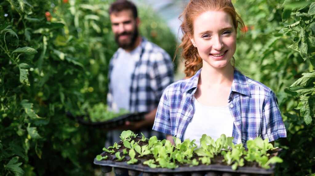 Esta iniciativa te permite ser voluntario y vivir en granjas orgánicas mientras recorres el mundo