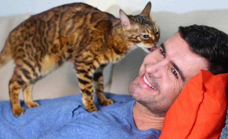 Los gatos realmente pueden sentir las emociones de sus dueños e incluso responden a ellas según un estudio