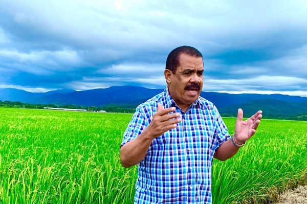 PLD dice costo cena navideña supera los 16,800 pesos en RD