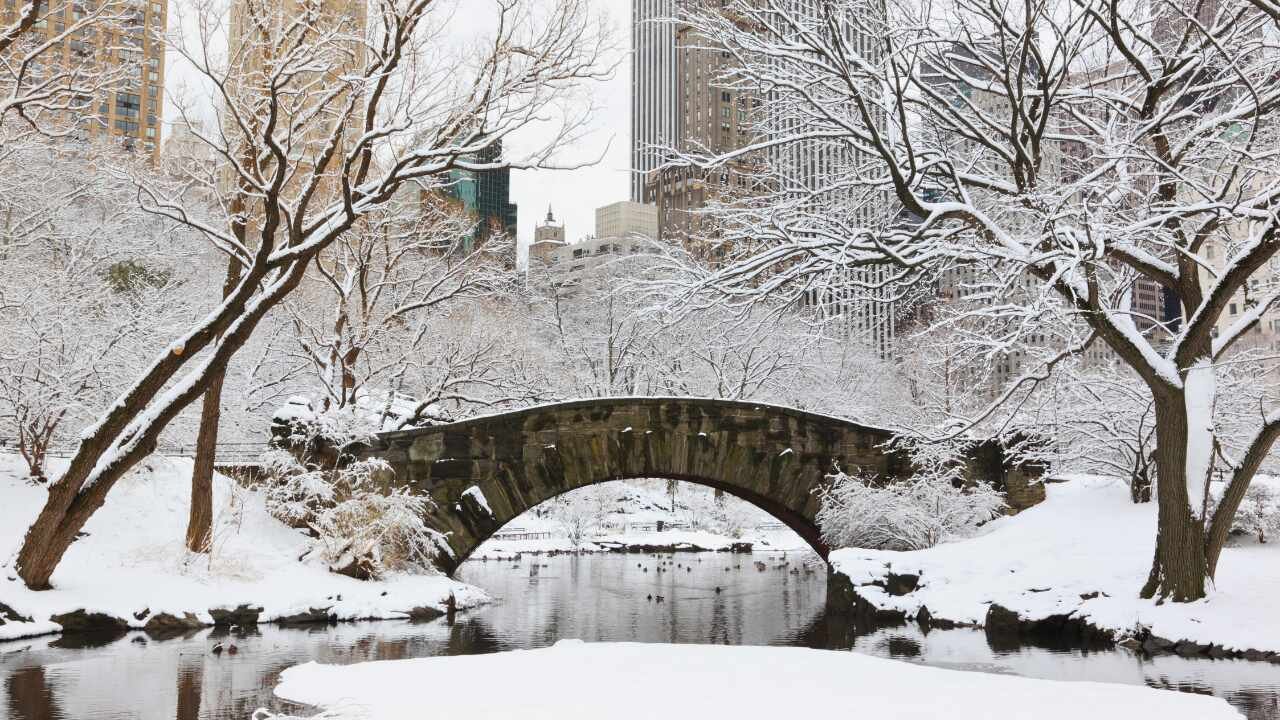 Alerta invernal paraliza Estados Unidos y Canadá con nieve hielo y frío extremo