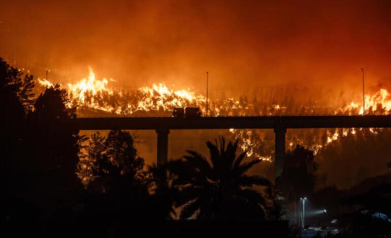 CHILE: Los incendios forestales dejan ya 19 personas muertas