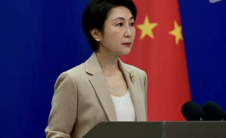 China dice sus «intereses» en Venezuela deben ser protegidos