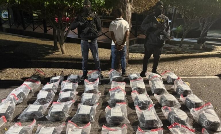 DNCD ocupa más de 200 libras marihuana y arresta 2 hombres