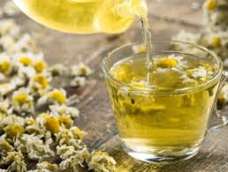 El calor transforma tus plantas medicinales