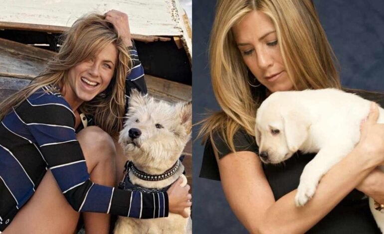 Jennifer Aniston ha dedicado su fama para salvar la vida de perros rescatados