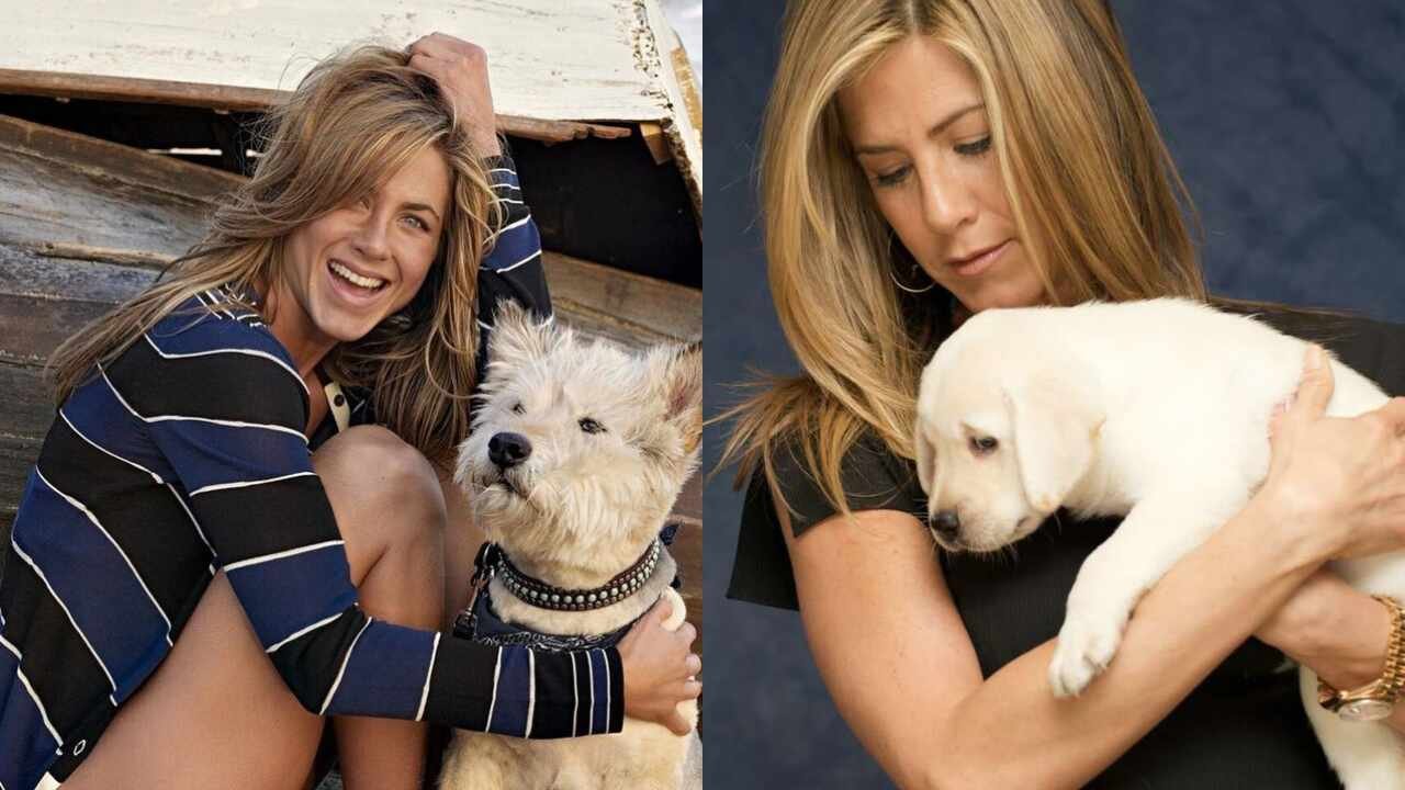 Jennifer Aniston ha dedicado su fama para salvar la vida de perros rescatados