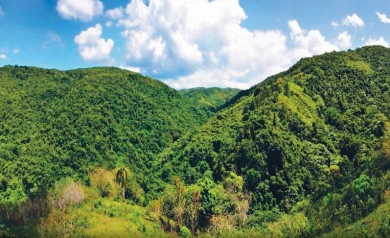 Multa de 60 millones de pesos a empresa por daño ambiental