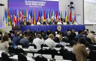 OEA pide a fuerzas vivas Haití actuar con responsabilidad