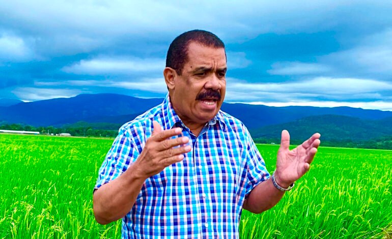 PLD ve acaparamiento del arroz origina reducción en consumo