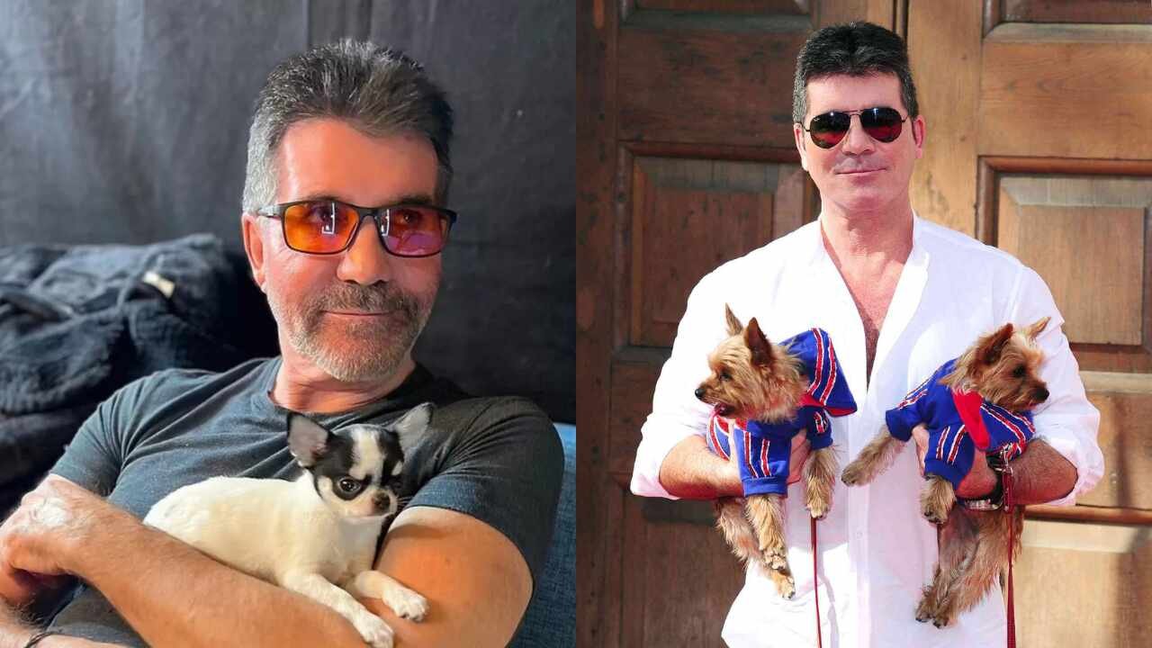 Simon Cowell planea usar su fortuna de 600 millones de dólares para ayudar a niños y animales en situación de vulnerabilidad
