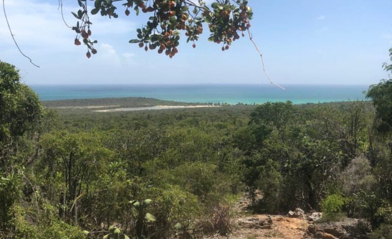 Abren investigación penal sobre maniobras en áreas protegidas