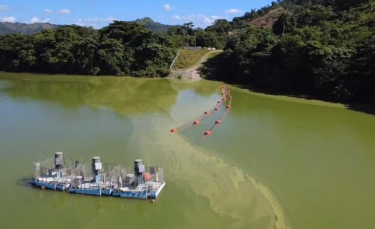 Academia de Ciencias alerta de contaminación Presa de Hatillo