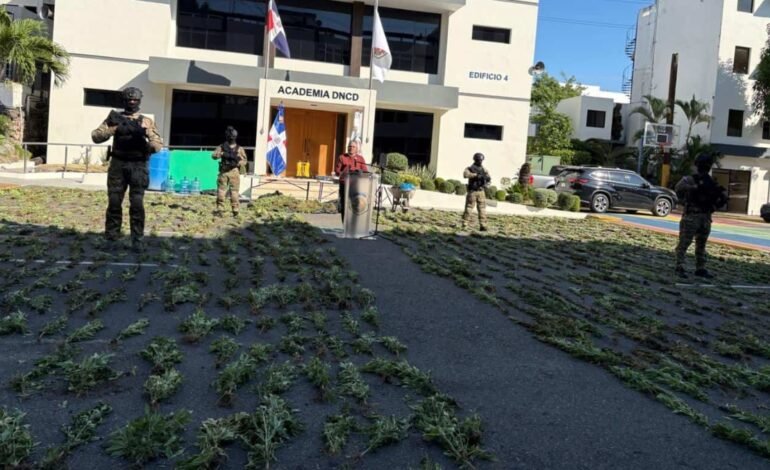 Autoridades decomisan 1,835 plantas de marihuana en Baní