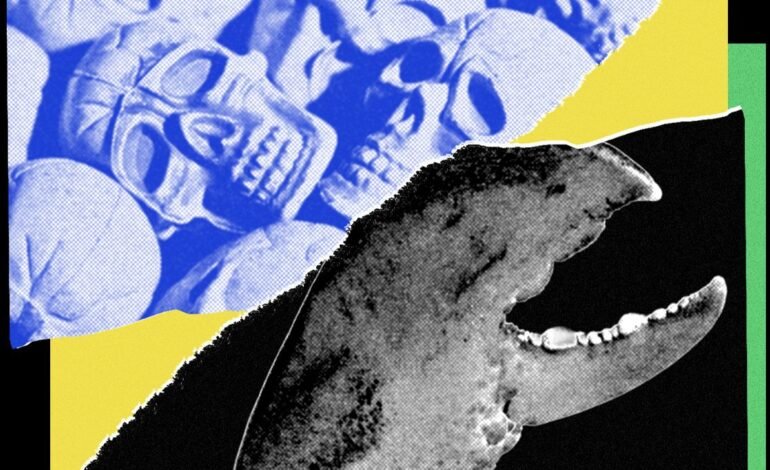 Código Futuro: La luna, el código fantasma, la rebelión de los agentes y la paradoja de la productividad