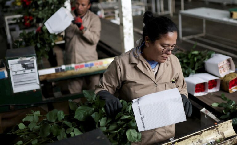 Colombia: Consejo de Estado suspende provisionalmente el alza del 23% en el salario mínimo