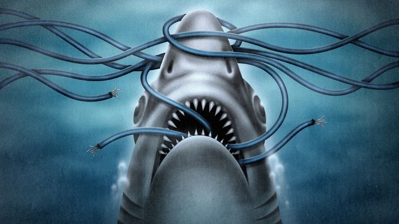 Un tiburón atado a cables submarinos