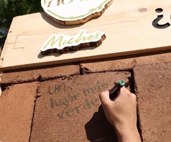 Decenas de personas participaron en “El Muro del Legado”, iniciativa de Living The Noom