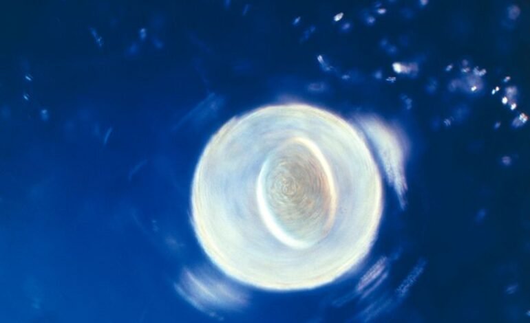 Descubren 42 compuestos industriales en el semen y alertan sobre su posible impacto en la fertilidad