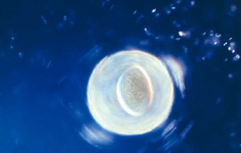 Descubren 42 compuestos industriales en el semen y alertan sobre su posible impacto en la fertilidad