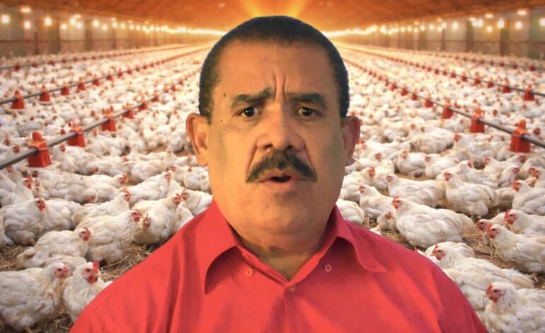 El PLD exige rescate de 303 pequeños avicultores en quiebra