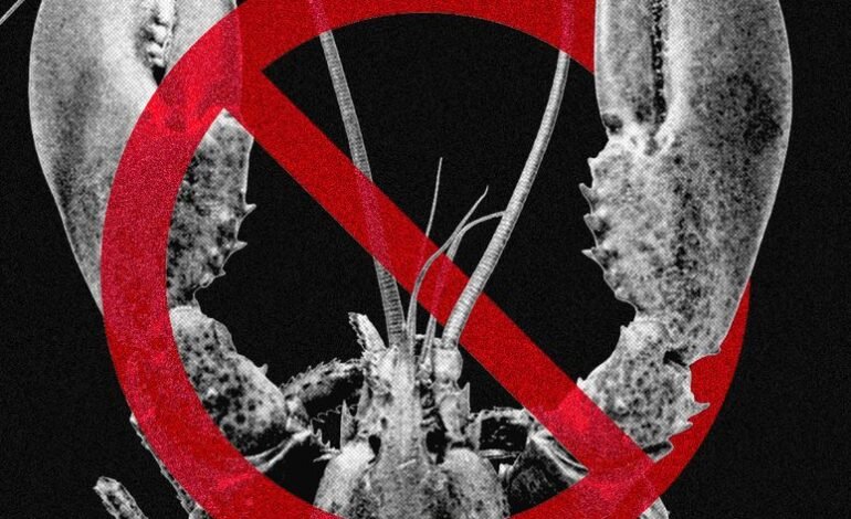 Este agente de IA convierte tu voluntad en una constitución que no puede desobedecer