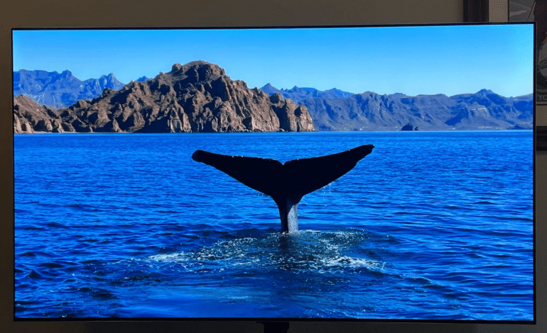 Guía para elegir el tamaño y la tecnología de TV que realmente necesitas