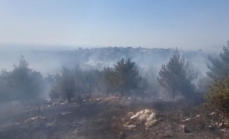 Israel utilizó masivamente fósforo blanco en el sur del Líbano, según un estudio