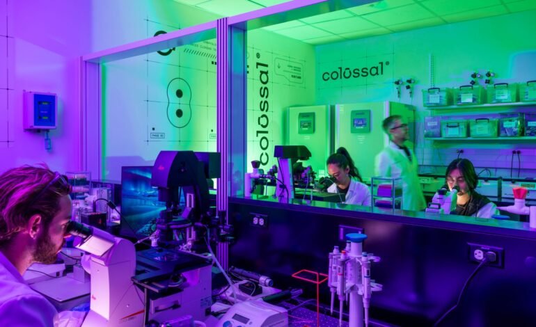 La empresa que quiere revivir al dodo busca hacer un ‘respaldo’ de la vida en la Tierra