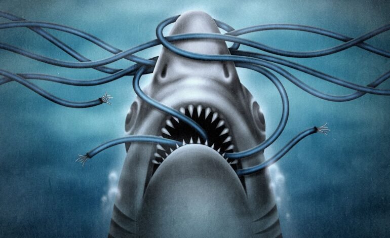 La titánica misión de retirar del océano el cable que fundó internet