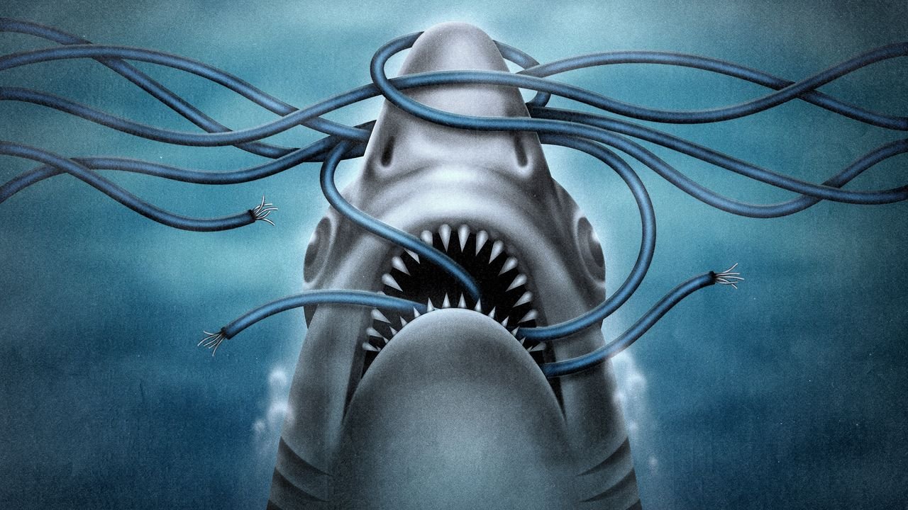 La titánica misión de retirar del océano el cable que fundó internet