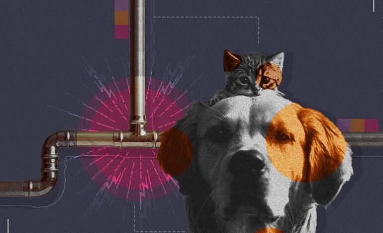 Las dietas veganas para perros y gatos son una oportunidad ignorada para combatir el cambio climático