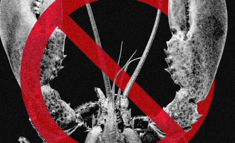 Meta y otras tecnológicas restringen OpenClaw, la IA que puede tomar el control de computadoras