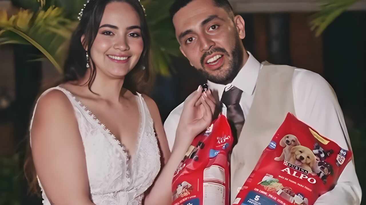 Pareja pidió alimento para perros en vez de regalos y convirtió su boda en ayuda para animales sin hogar