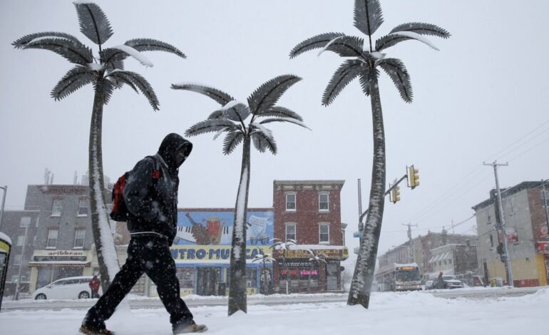 Partes de Florida estuvieron más frías que Alaska durante la mañana
