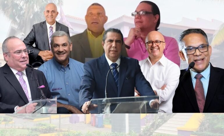 PLD valida ocho aspirantes presidenciales y aprueba consulta semiabierta para definir candidatura del 2028